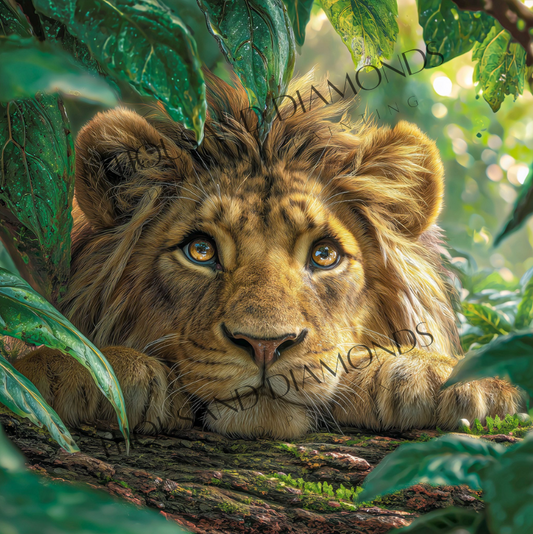 Diamond Painting Bild - Löwenblick von Funkelreich - ab 60x60 cm - 83 Farben