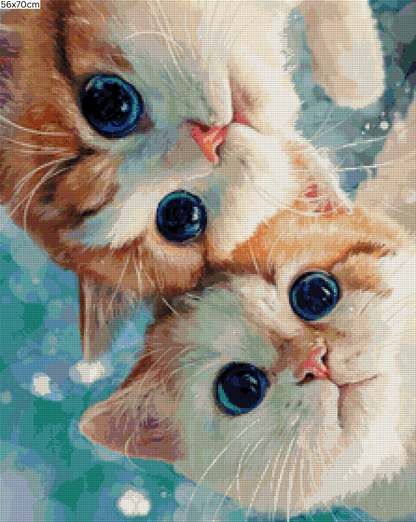 Diamond Painting Bild - Zwillingspfoten von Funkelreich - ab 56x70 cm - 75 Farben